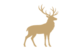 Stag Site Infrastructure